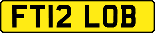 FT12LOB
