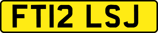 FT12LSJ
