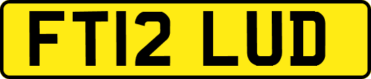 FT12LUD