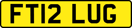 FT12LUG