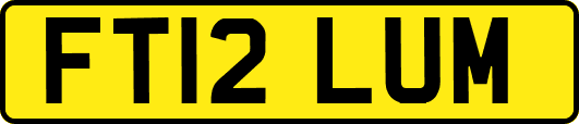 FT12LUM