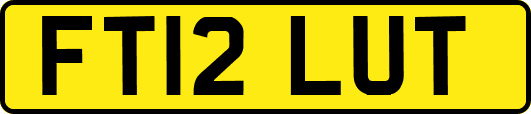 FT12LUT