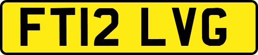 FT12LVG