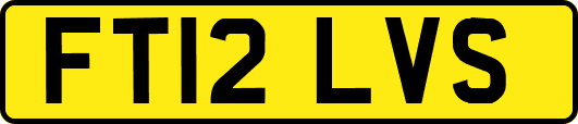 FT12LVS