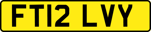 FT12LVY