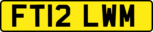 FT12LWM