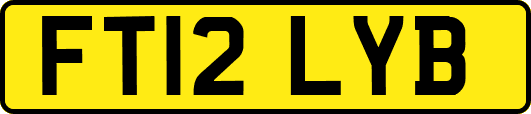 FT12LYB