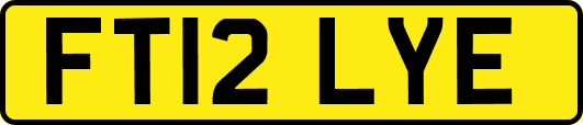 FT12LYE