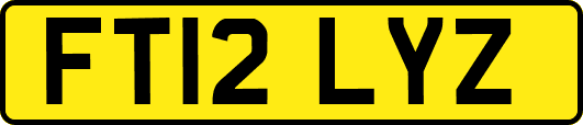 FT12LYZ