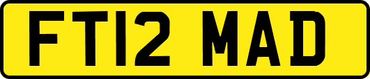 FT12MAD