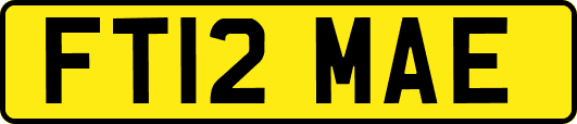 FT12MAE