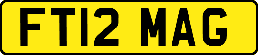FT12MAG