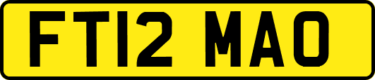 FT12MAO