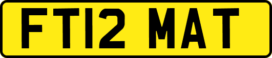 FT12MAT