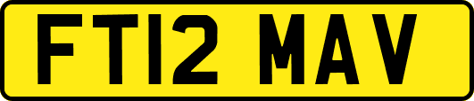 FT12MAV