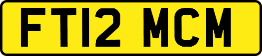 FT12MCM