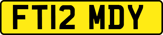 FT12MDY