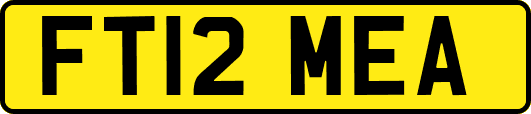 FT12MEA