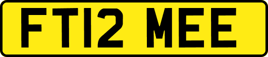 FT12MEE