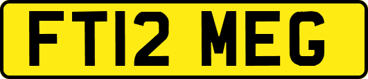 FT12MEG