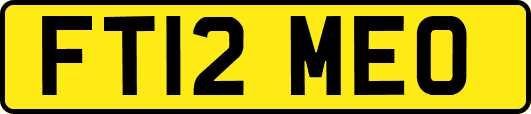 FT12MEO