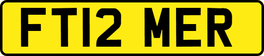 FT12MER