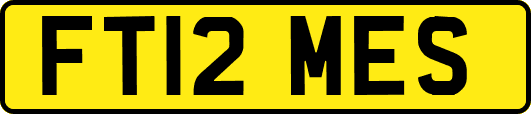 FT12MES