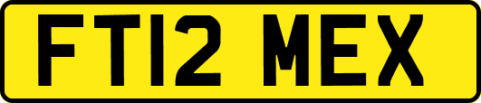 FT12MEX