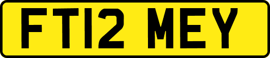 FT12MEY