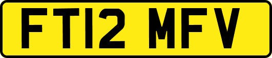 FT12MFV