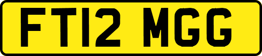 FT12MGG