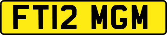 FT12MGM