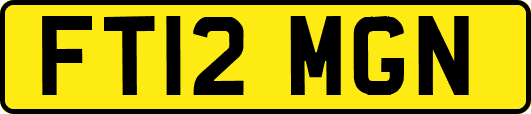 FT12MGN