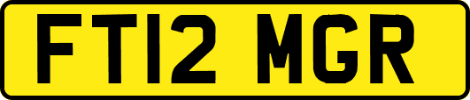 FT12MGR