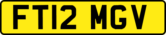 FT12MGV