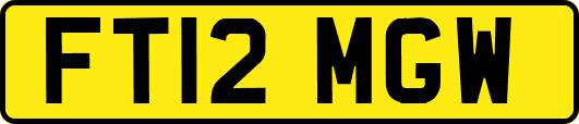 FT12MGW