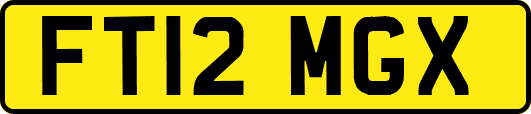 FT12MGX