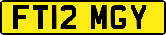 FT12MGY