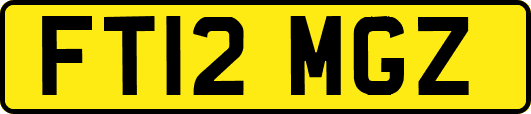 FT12MGZ