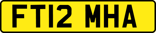 FT12MHA