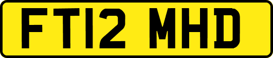 FT12MHD