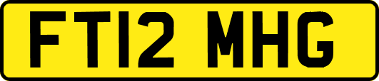 FT12MHG