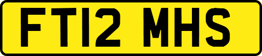 FT12MHS