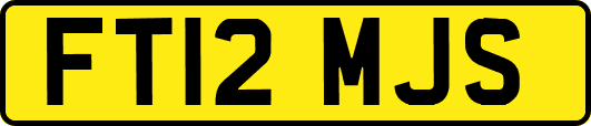 FT12MJS