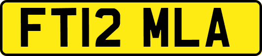 FT12MLA