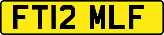 FT12MLF