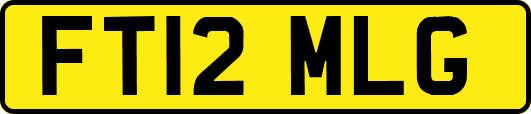 FT12MLG