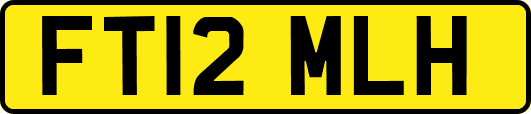 FT12MLH