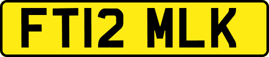 FT12MLK