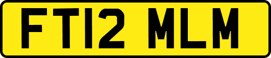 FT12MLM